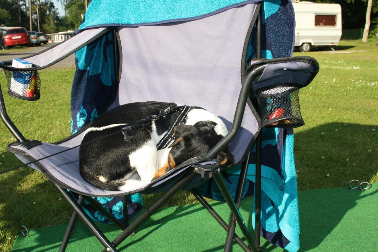 Bromoella Camping O Vandrarhem Kültér fotó